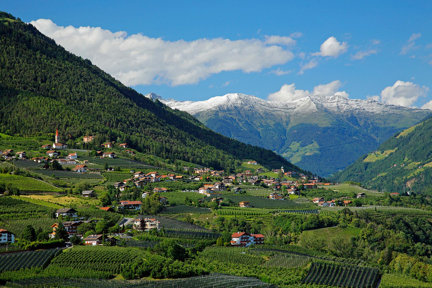 Caines presso Merano